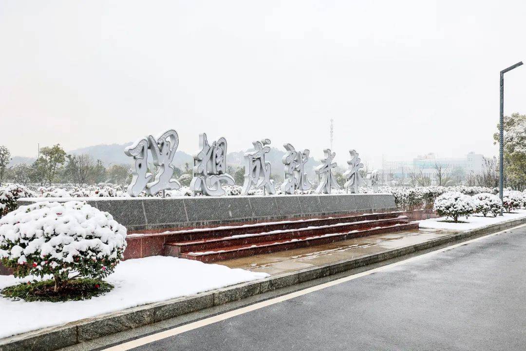 瑞雪兆有年，邀您共赏雪中尊龙凯时！